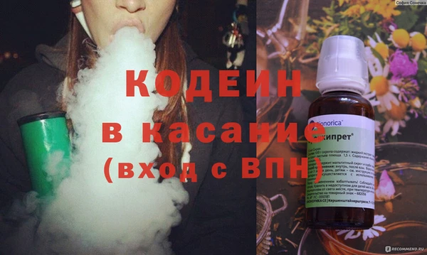прущие грибы Кодинск