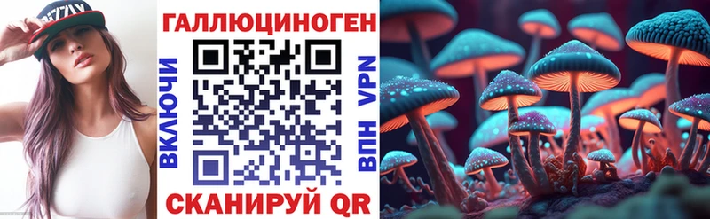 Псилоцибиновые грибы Psilocybine cubensis  Певек 
